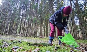 Живём КАК ХОТИМ! Как и чем мы зарабатываем в исчезающей деревне, кот-следопыт и зимний лес