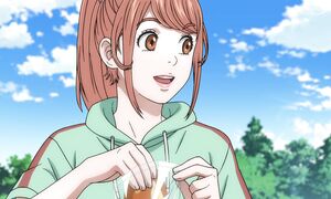 Tojima Wants to Be a Kamen Rider - 15 [DUB]