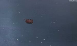 Jujutsu Kaisen - S3 EP4