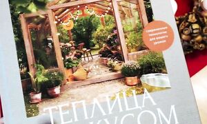 Как выбрать теплицу, освещение, автополив  #gardening #огороднаподоконнике #теплица