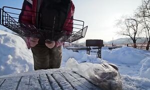 Живём КАК ХОТИМ!  Летопись одного дня из жизни в деревне