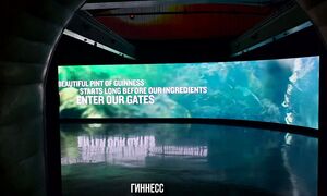 Дублин город викингов и кельтов, тёмных дождей и зелени в январе, дешёвого Гиннесса, но высоких цен