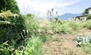 Огороды в Японии. Что с ними не так