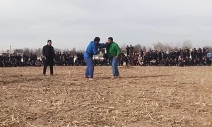 Zoxid polvon kurashida nima bulgan xololmi yuqma