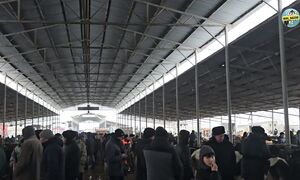 Жексенбілік сауда Тараздағы ірі қара малдың бүгінгі құны (08.02.2026)