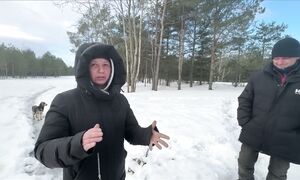 Люди леса собираются, чтобы поздравить Лену с днем рождения) мусорщик