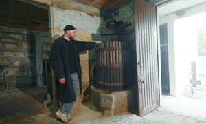 Купили заброшенную кинту в Португалии. Первый месяц работ! С чего мы начали KEYDOM2 #3