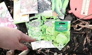 Снег сошел очень быстро! Первые цветы весны, посевы и потери _ Влог №2