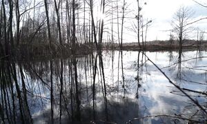 УЮТ ЛЕСНОЙ ИЗБУШКИ. ТОЛЬКО МЯСО и СПЕЦИИ , СТАРЫЙ РЕЦЕПТ НАСТОЯЩЕЙ КОЛБАСЫ. №382