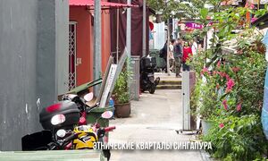 Сингапур как выглядит богатая жизнь без свобод, город-сад из небоскрёбов и чистота без преступности