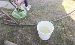 Приятного аппетита 175