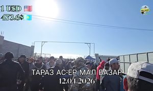 Тараз мал базары Бүгінгі баға қандай - TARAZ_MAL_BAZARKZ