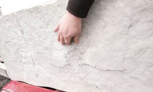 Сбежал из Англии в Беларусь чтобы начать бизнес в деревне