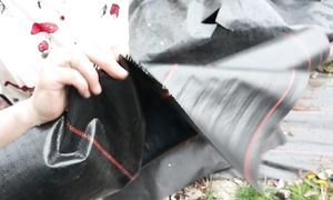 Как я готовлю место под посадку тыквы на целине