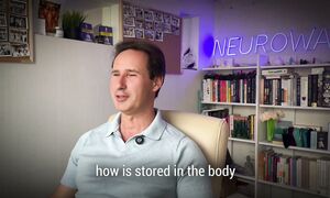 All Questions About NeuroWave Answered (90-Minute Deep Dive)